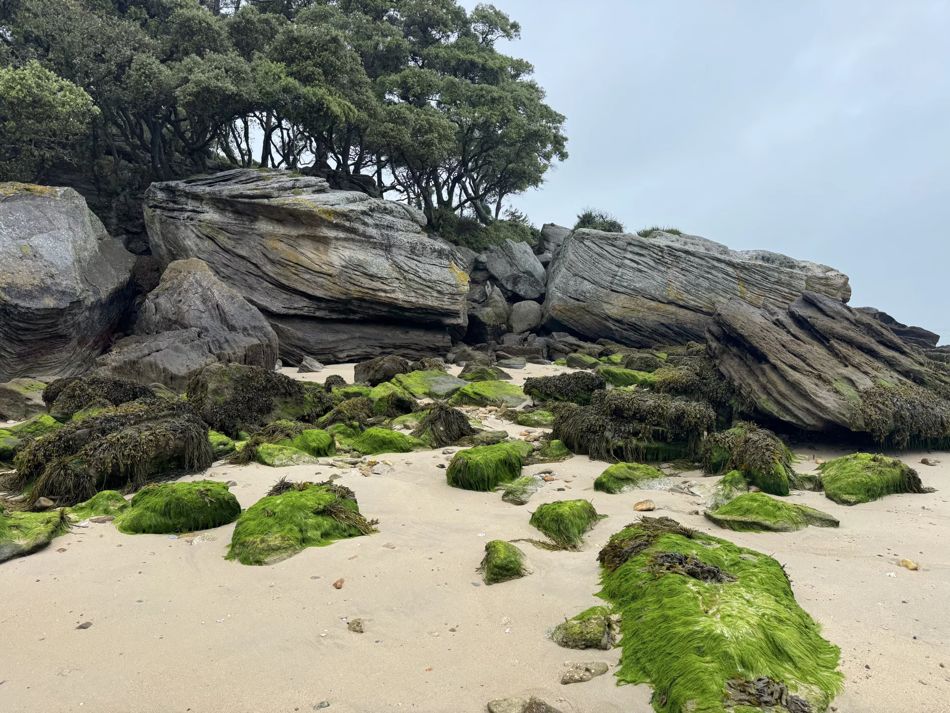 Côte est Noirmoutier © Richard Bayon