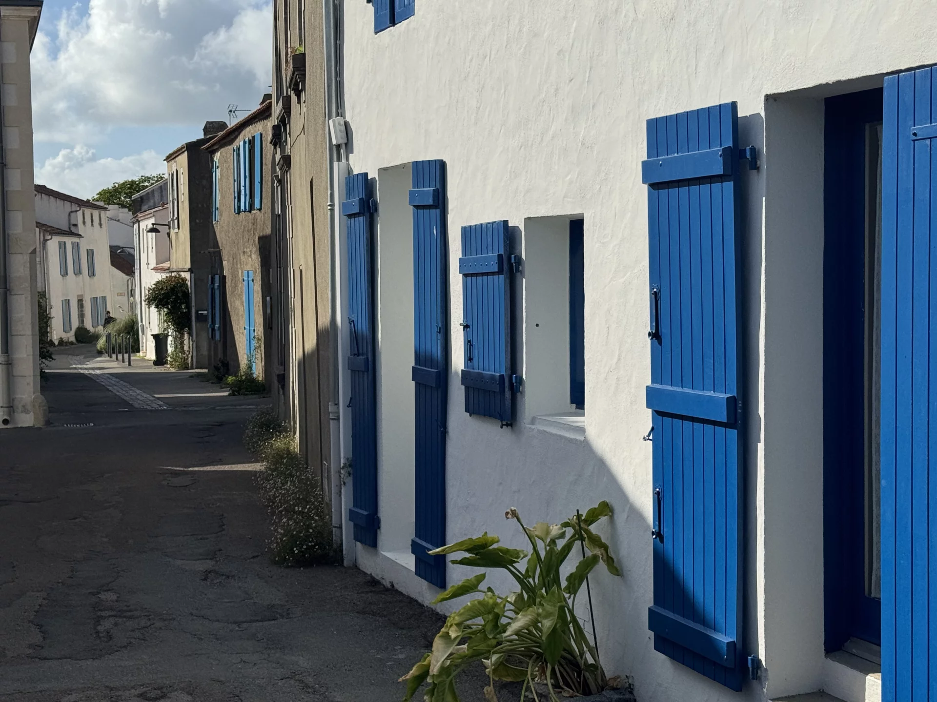 Noirmoutier en l' Île © Richard Bayon